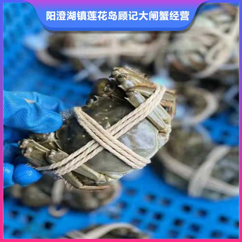 超大闸蟹品种多样