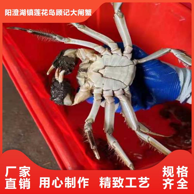 螃蟹生产厂家-找阳澄湖镇莲花岛顾记大闸蟹经营部