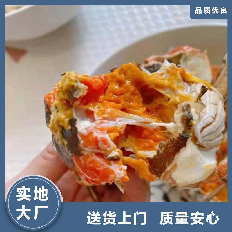 莲花岛阳澄湖大闸蟹哪里正宗