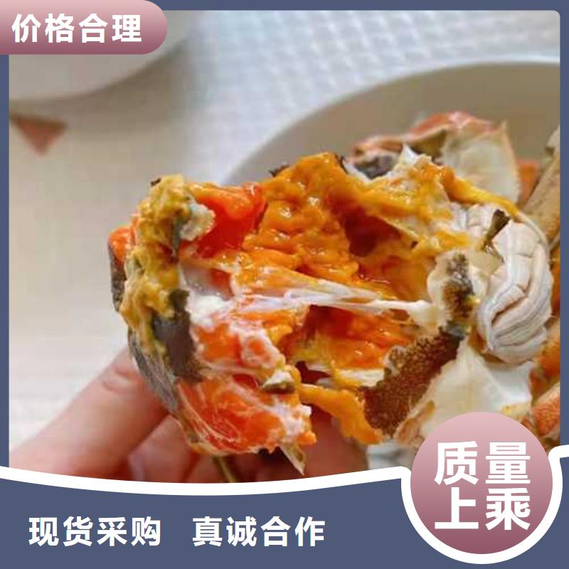 螃蟹生产厂家-找阳澄湖镇莲花岛顾记大闸蟹经营部