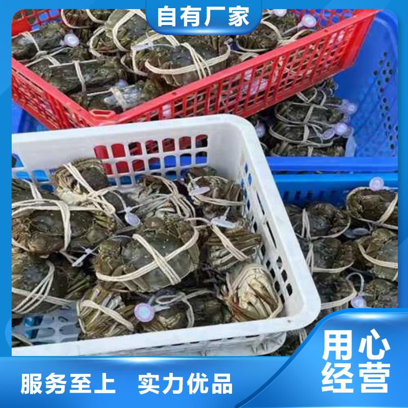 打螃蟹厂家款式多样