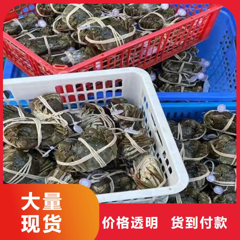 大闸蟹-大闸蟹质量有保障