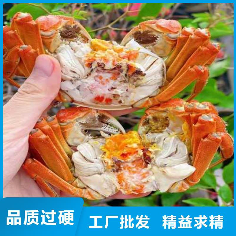 尚义县卖阳澄湖大闸蟹地方