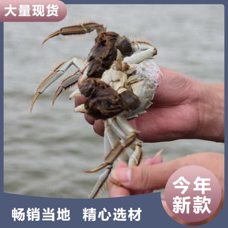 螃蟹-加工厂家