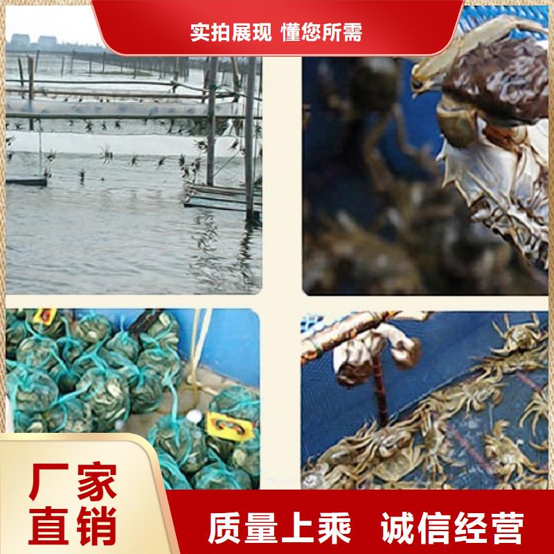 超大闸蟹报价及时