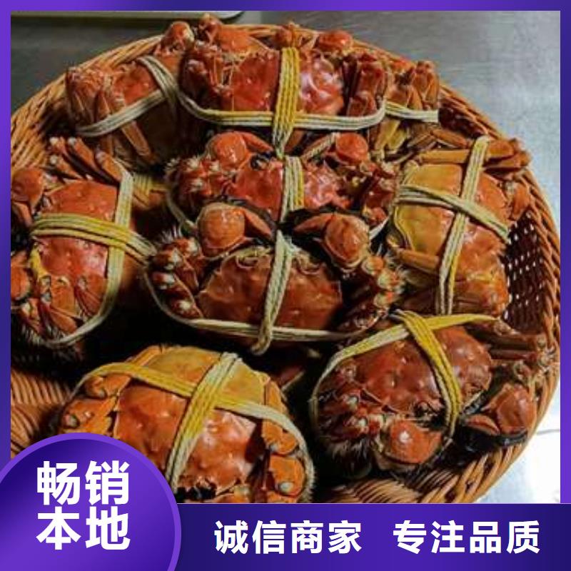 阳澄湖大闸蟹本地供应商