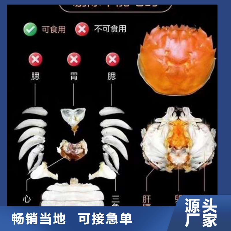 性价比高的阳澄湖大闸蟹厂家