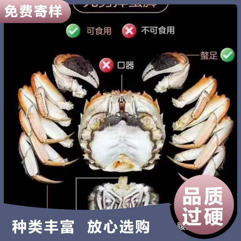 性价比高的阳澄湖大闸蟹厂家