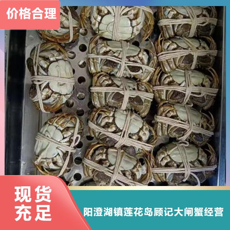 靠谱的阳澄湖大闸蟹基地