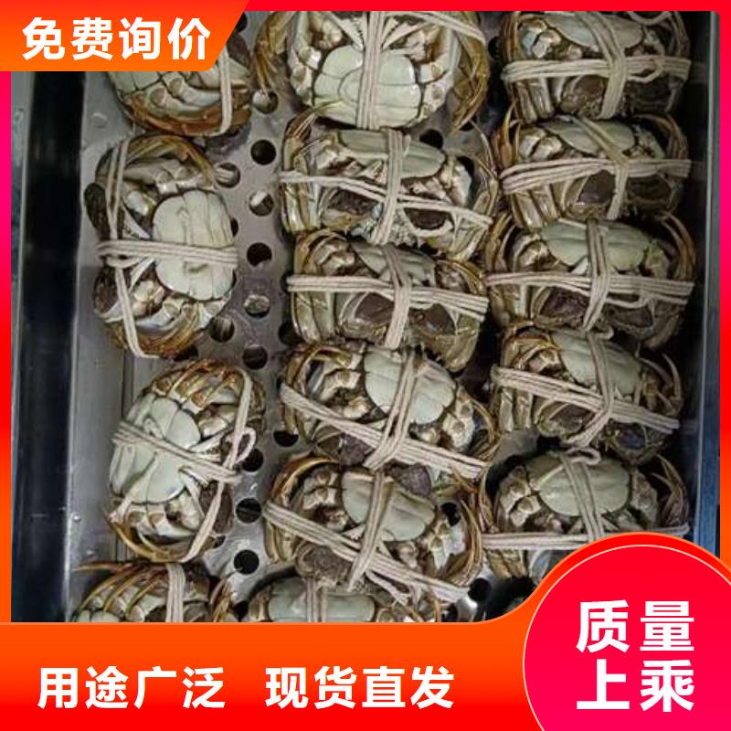 阳澄湖大闸蟹安装