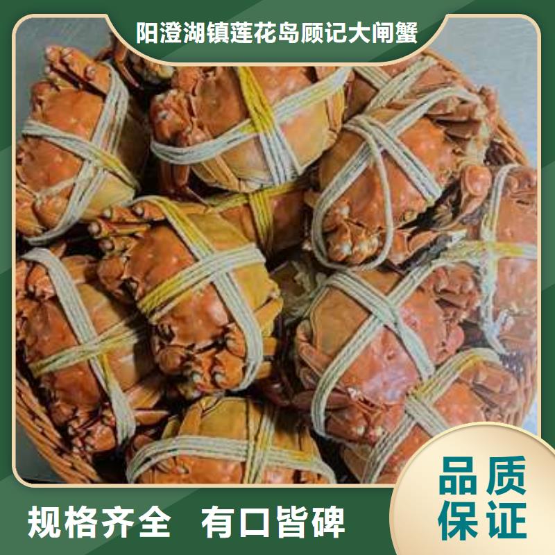 阳澄湖大闸蟹好的选择