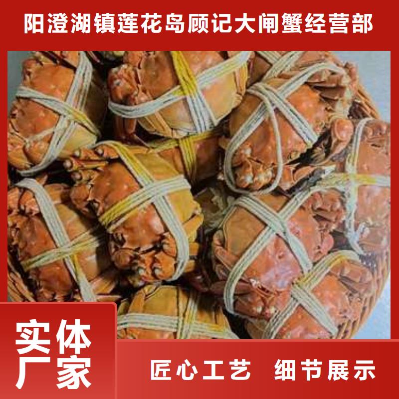 阳澄湖大闸蟹大品牌品质优