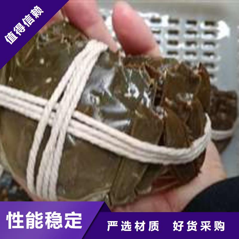 阳澄湖大闸蟹天天低价