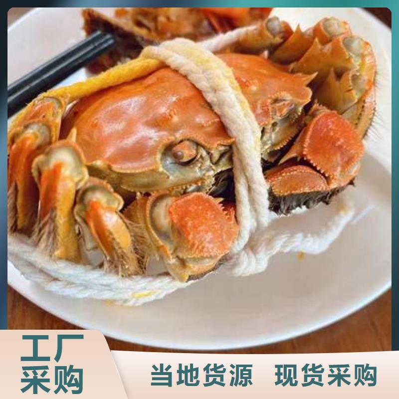 性价比高的阳澄湖大闸蟹厂家