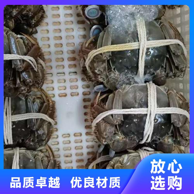 阳澄湖大闸蟹质量稳定