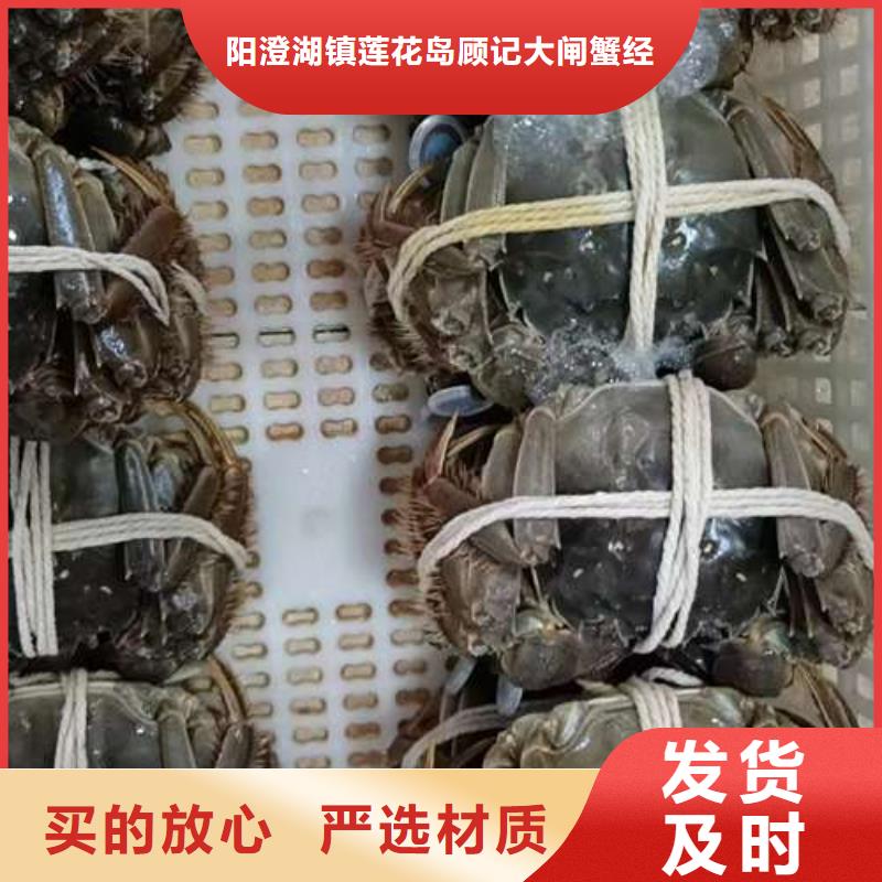 卖阳澄湖大闸蟹的经销商