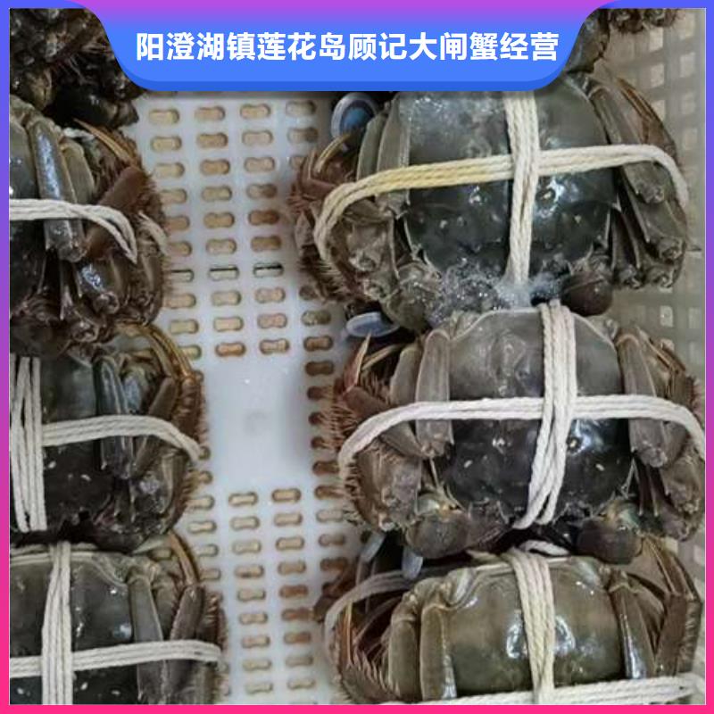 性价比高的阳澄湖大闸蟹厂家