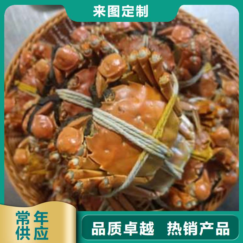 阳澄湖大闸蟹好的选择
