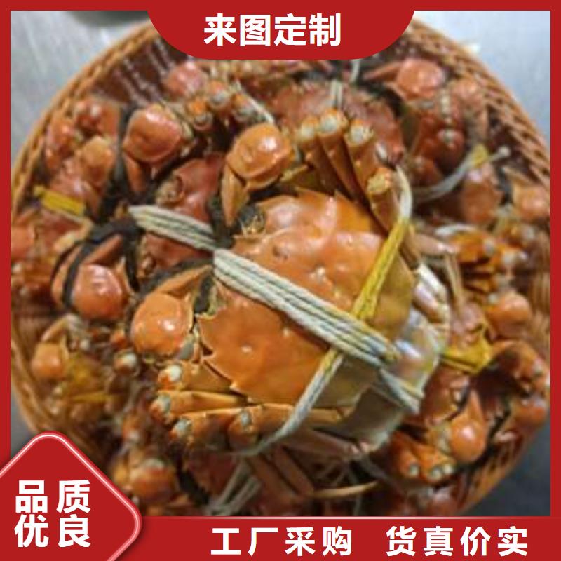 阳澄湖大闸蟹质量稳定