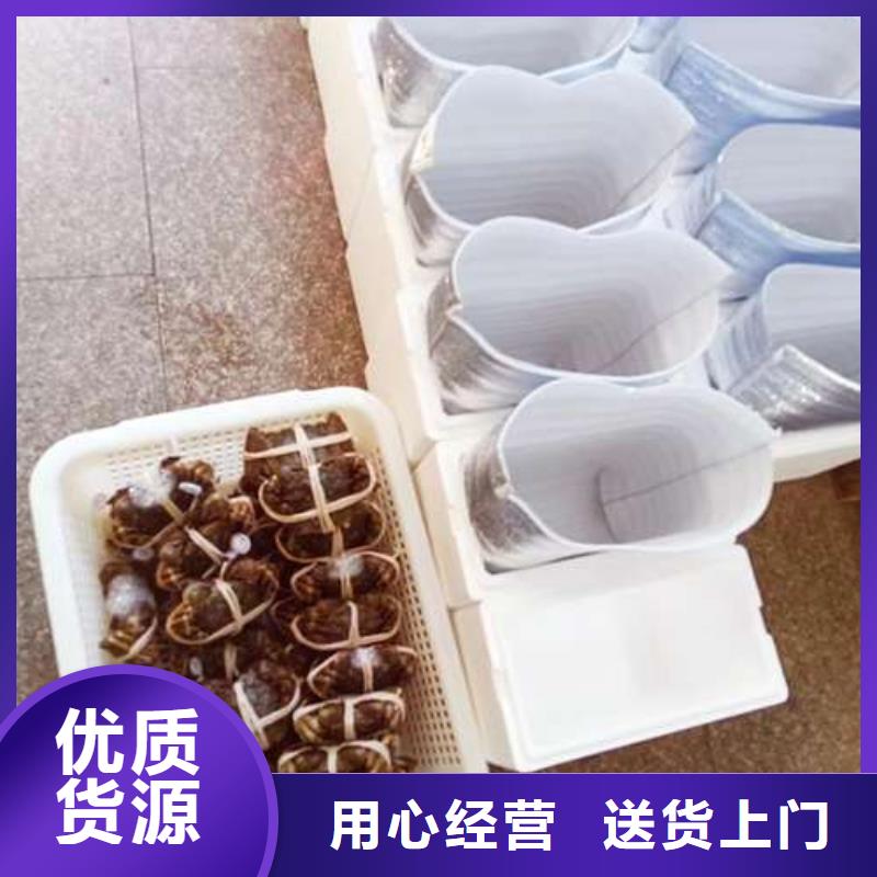 定制阳澄湖大闸蟹的厂家