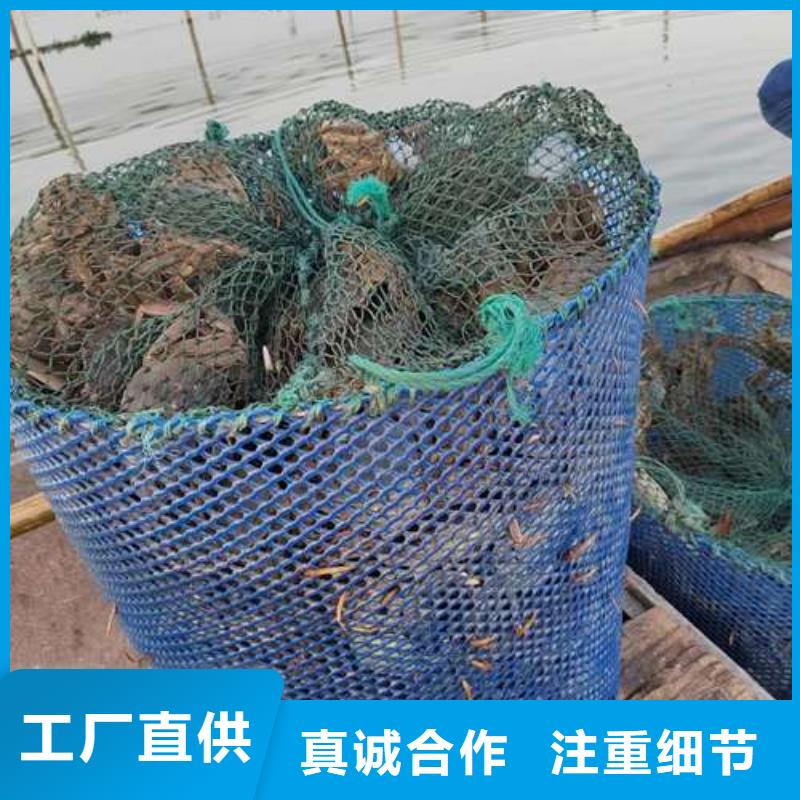 选择正规阳澄湖大闸蟹厂家