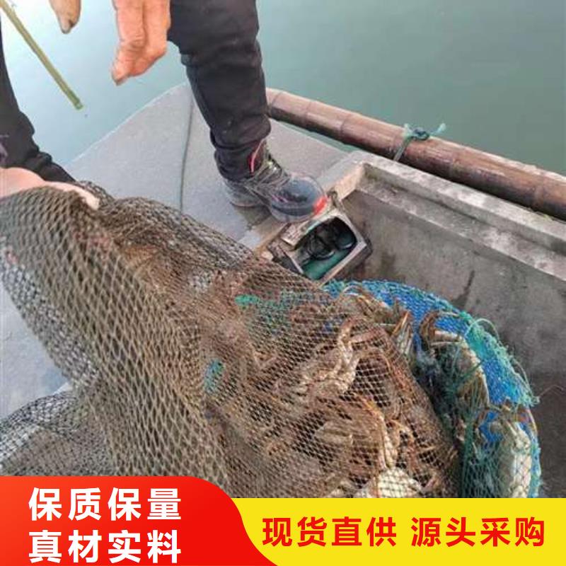 阳澄湖大闸蟹厂家直发