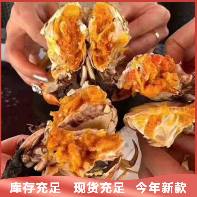 阳澄湖大闸蟹大品牌品质优