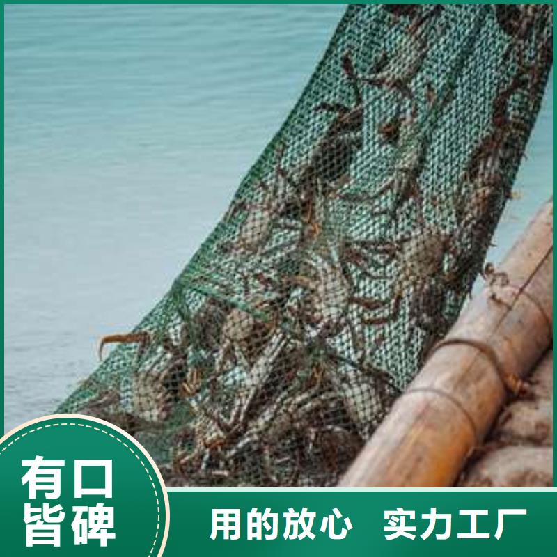 阳澄湖大闸蟹实力厂家质量稳定