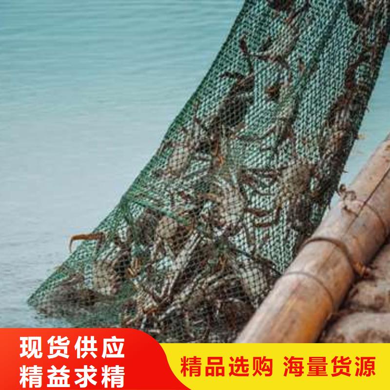 阳澄湖大闸蟹材质好