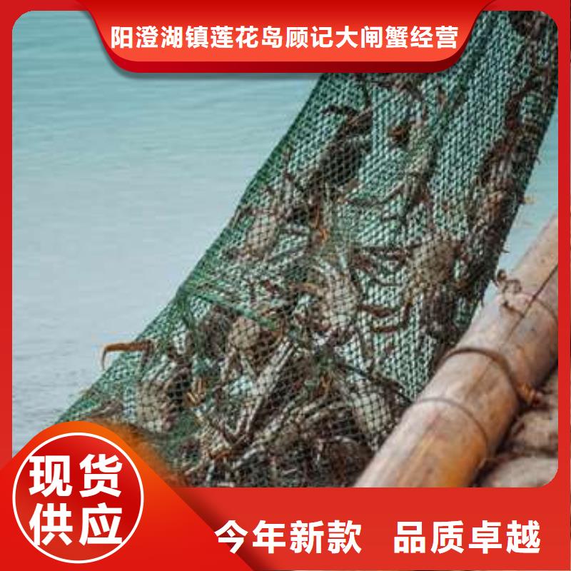 阳澄湖大闸蟹可在线咨询价格