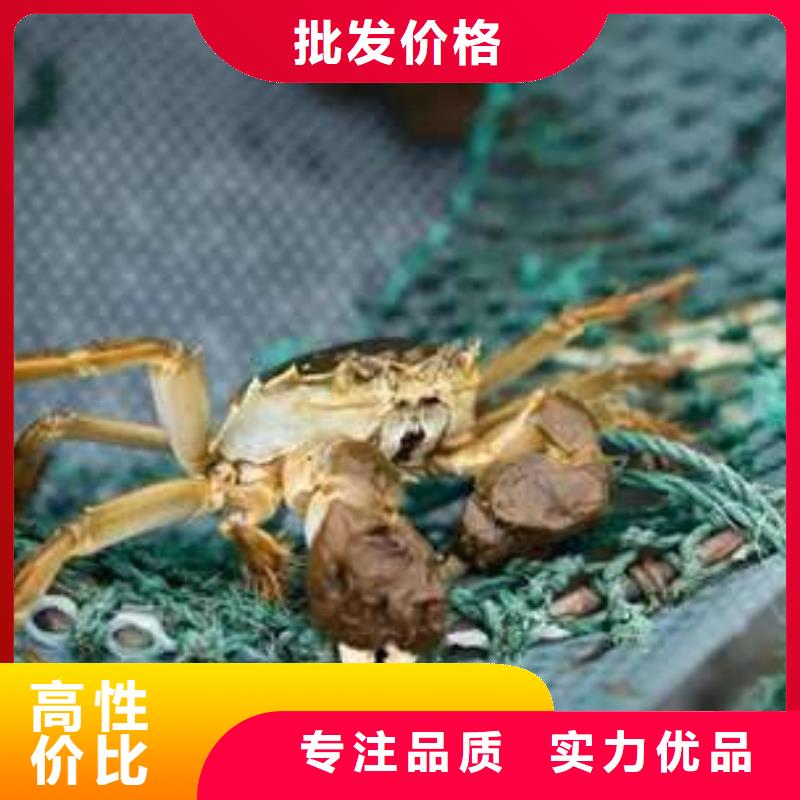 阳澄湖大闸蟹可在线咨询价格