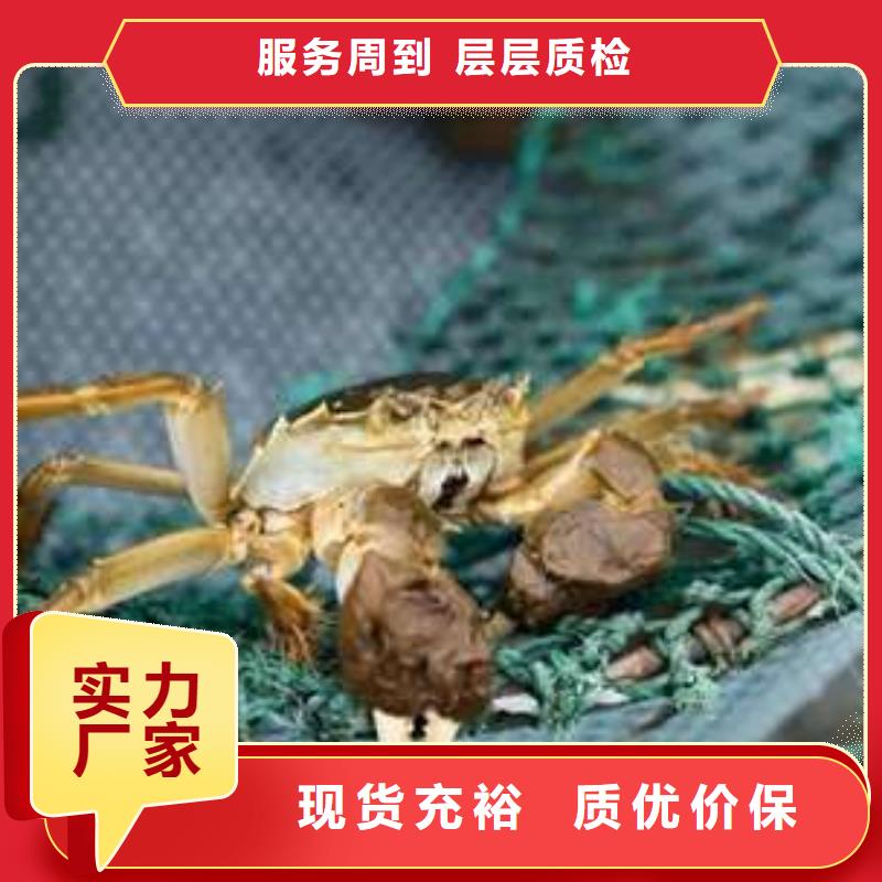 选择正规阳澄湖大闸蟹厂家