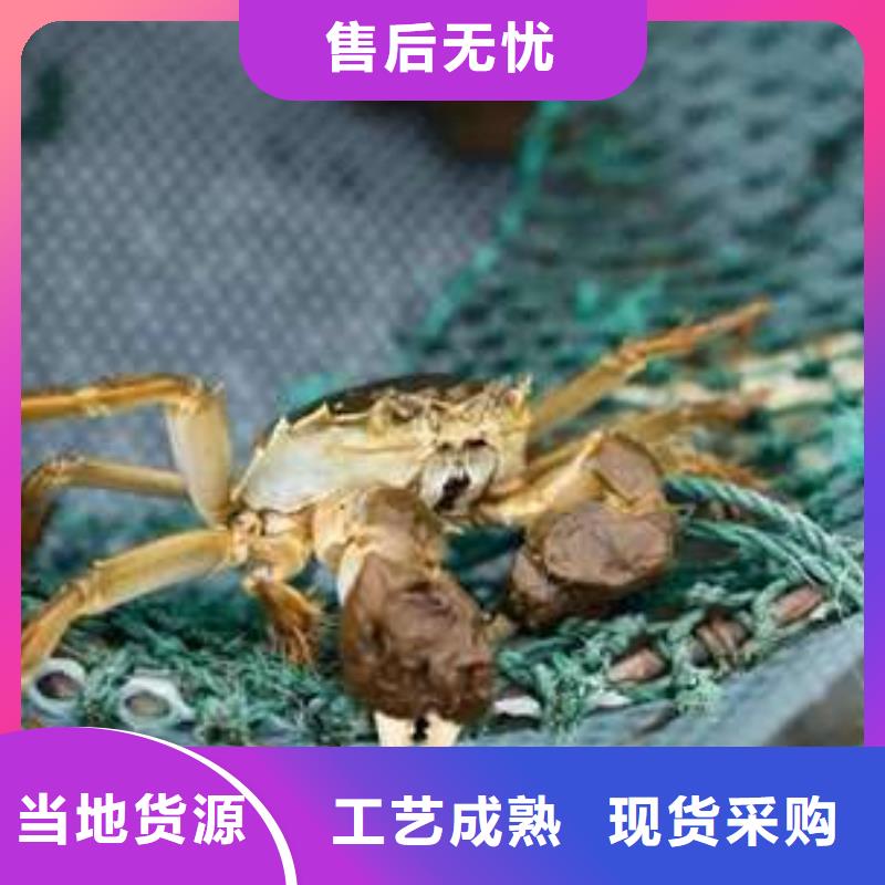 阳澄湖大闸蟹实力厂家质量稳定