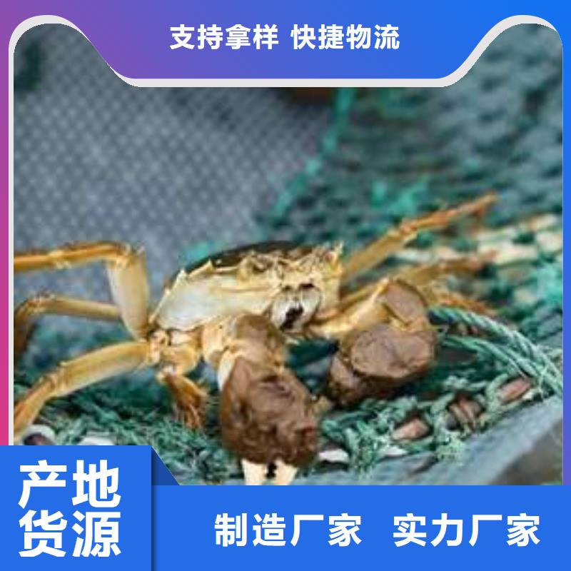 阳澄湖大闸蟹天天低价