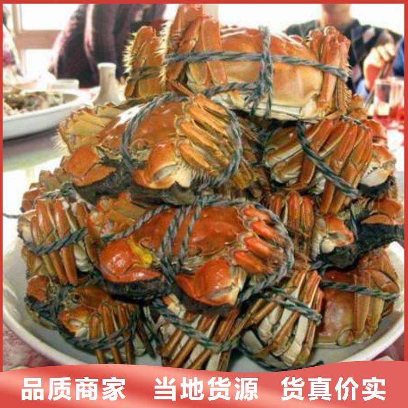 阳澄湖大闸蟹可在线咨询价格