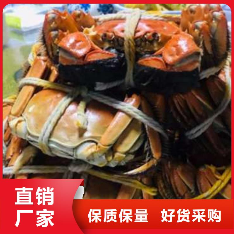 汕尾市大螃蟹一斤几只
