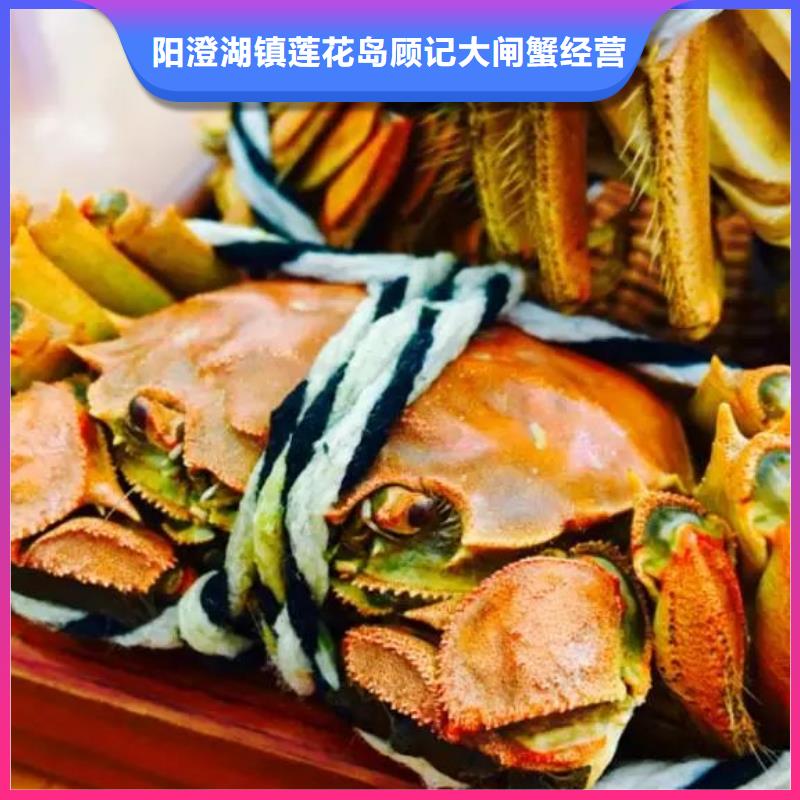 阳澄湖大闸蟹大品牌品质优