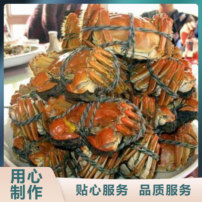 阳澄湖大闸蟹大品牌品质优