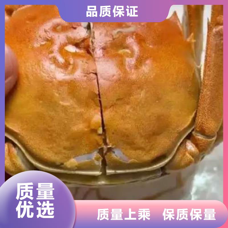 选择正规阳澄湖大闸蟹厂家