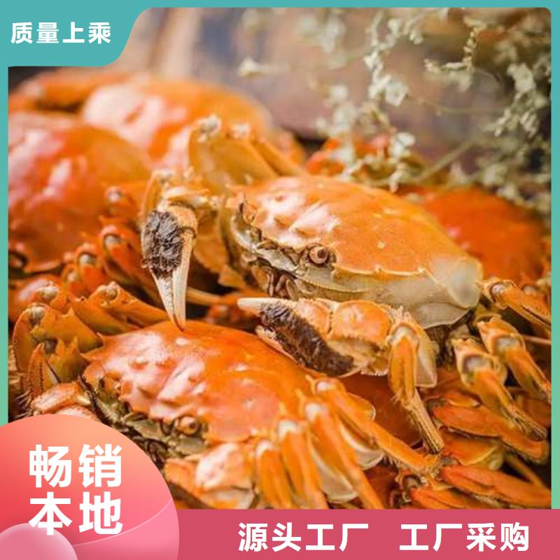 ：阳澄湖大闸蟹厂家