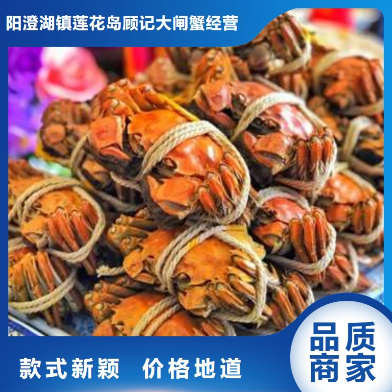 阳澄湖大闸蟹大品牌品质优