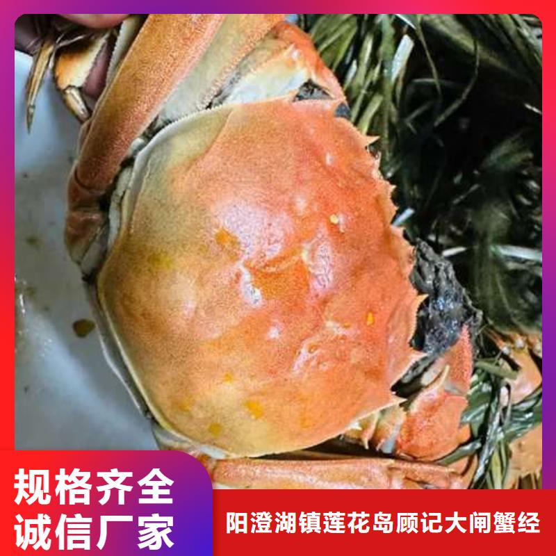 性价比高的阳澄湖大闸蟹厂家