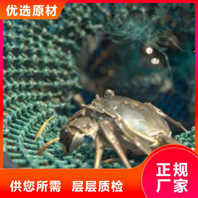 阳澄湖大闸蟹加工厂家