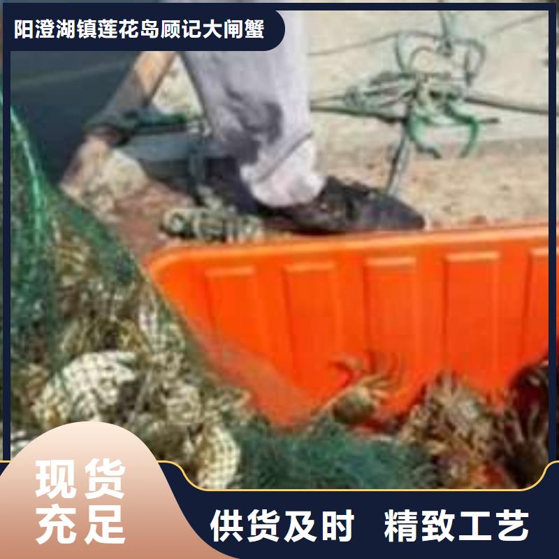 阳澄湖大闸蟹可在线咨询价格