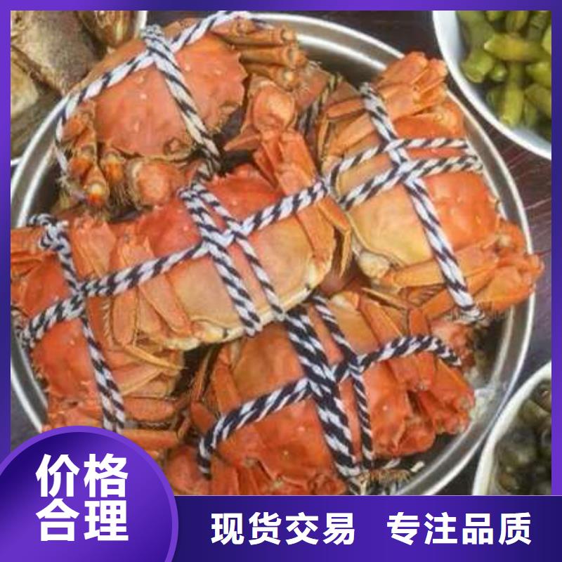 库存充足的阳澄湖大闸蟹生产厂家