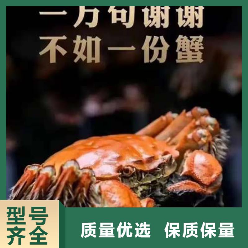 阳澄湖大闸蟹发货及时