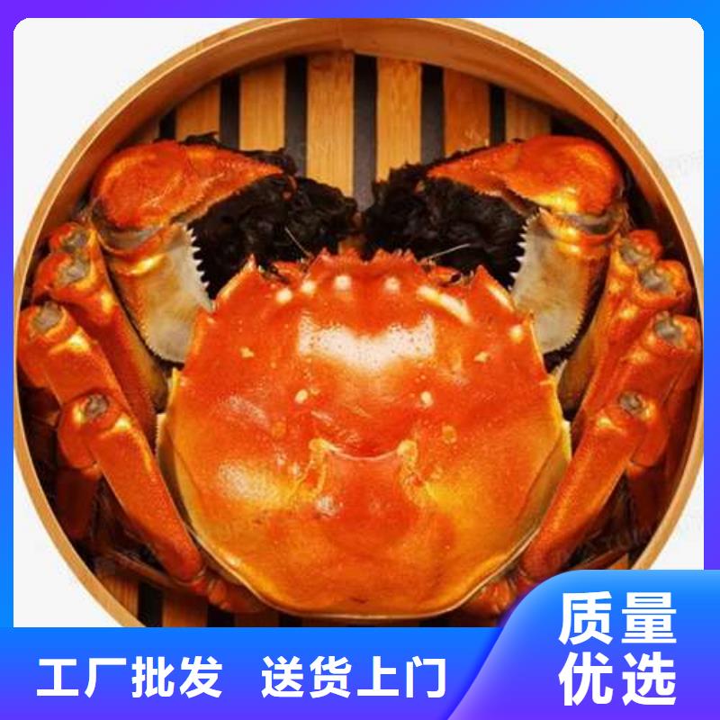 阳澄湖大闸蟹厂家直发
