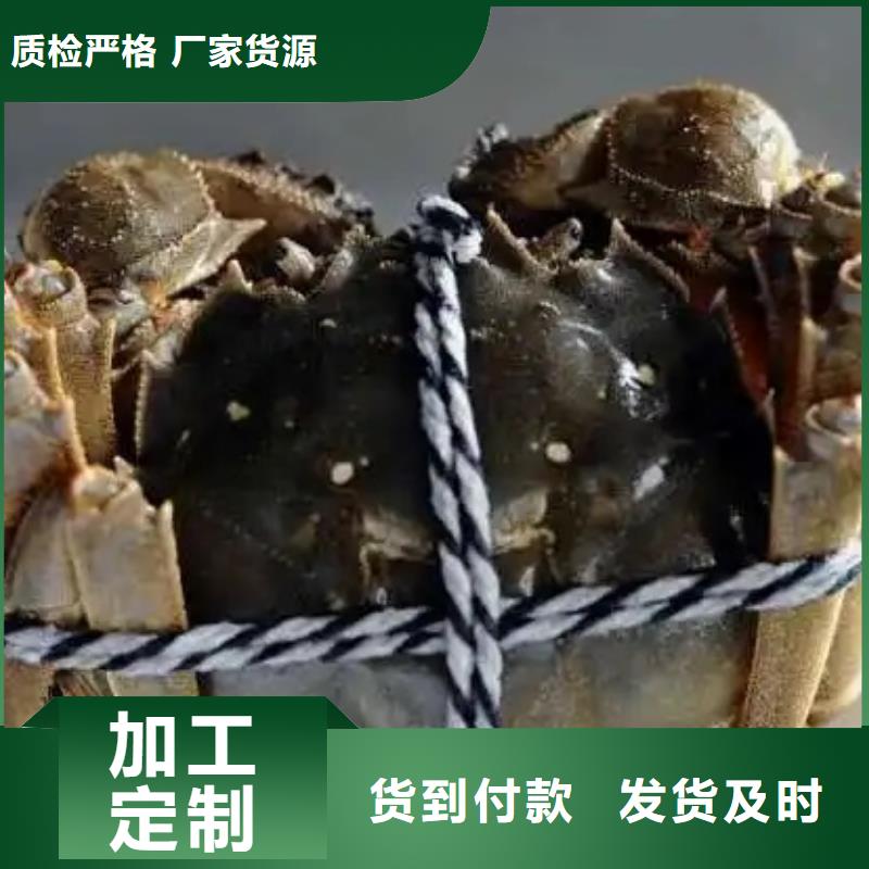 阳澄湖大闸蟹-送货上门