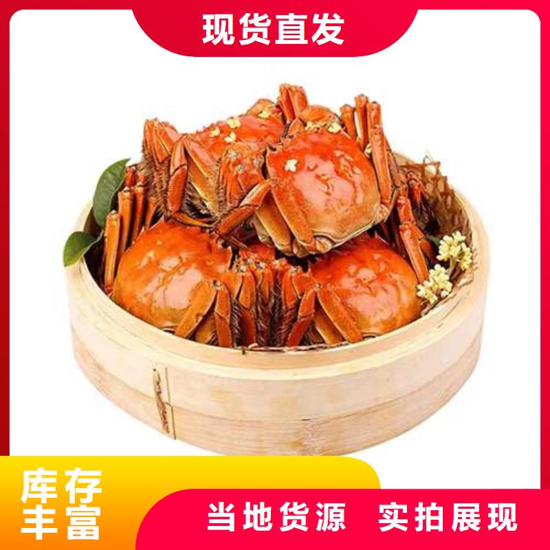 阳澄湖大闸蟹实力厂家质量稳定