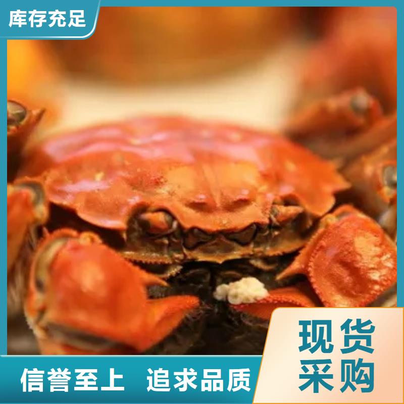 阳澄湖大闸蟹发货及时